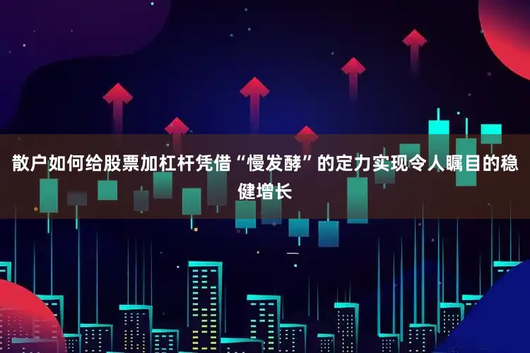 散户如何给股票加杠杆凭借“慢发酵”的定力实现令人瞩目的稳健增长