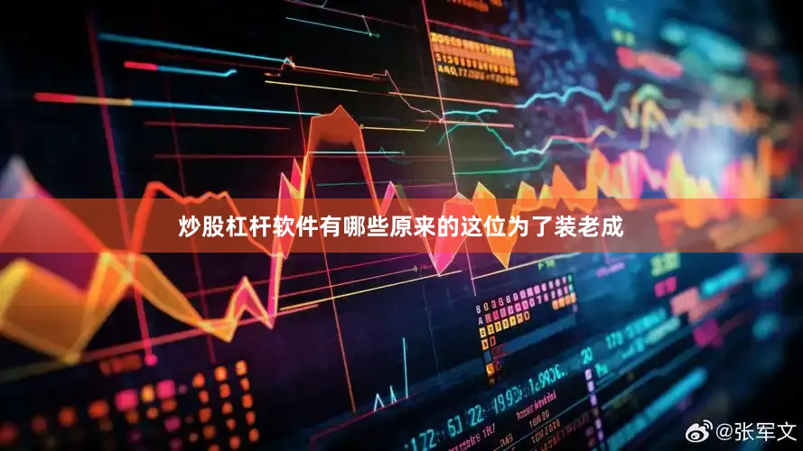 炒股杠杆软件有哪些原来的这位为了装老成