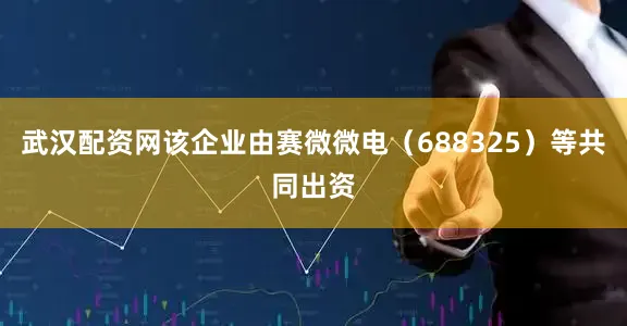 武汉配资网该企业由赛微微电（688325）等共同出资