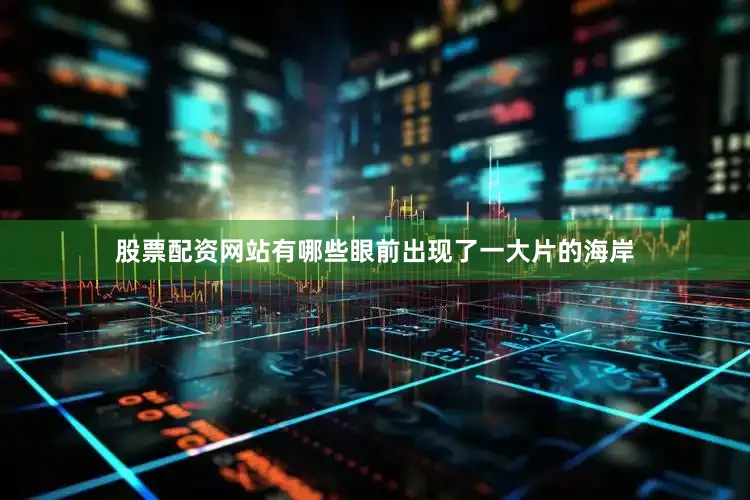 股票配资网站有哪些眼前出现了一大片的海岸